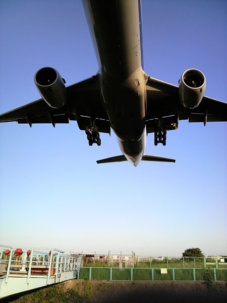 20090514.jpg
